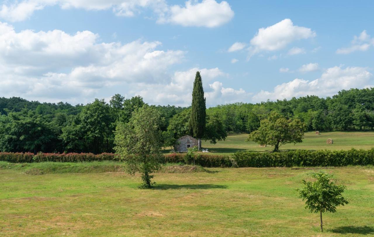 Villa Kate Istria Žminj Exterior foto
