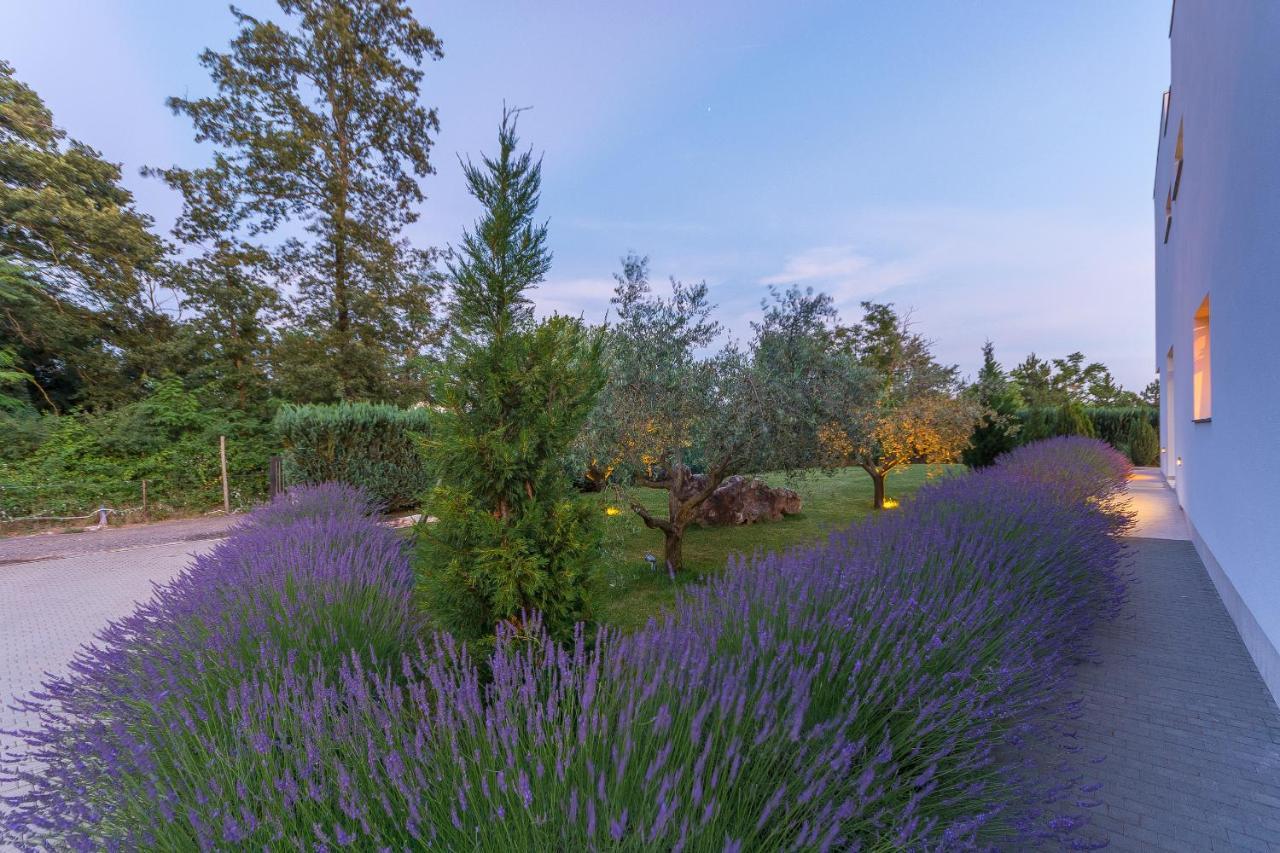 Villa Kate Istria Žminj Exterior foto